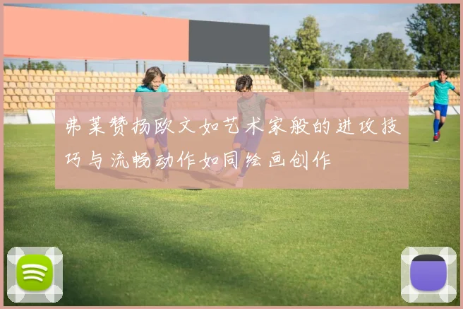弗莱赞扬欧文如艺术家般的进攻技巧与流畅动作如同绘画创作